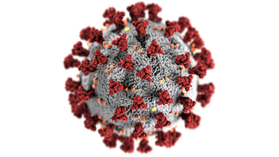 covid 19 coronavirus covid cell pandemic corona virus 1608792 pxhere.com  scaled