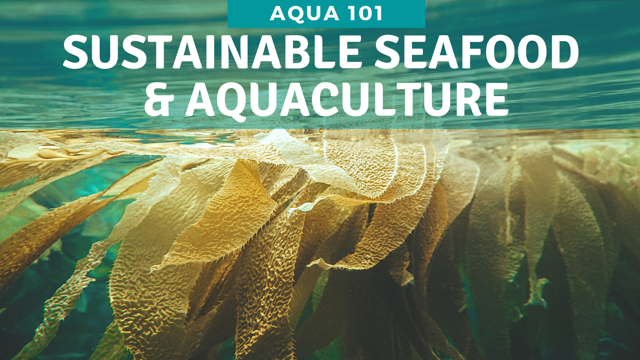 SUSTAINABLE SEAFOOD aND Aquaculture