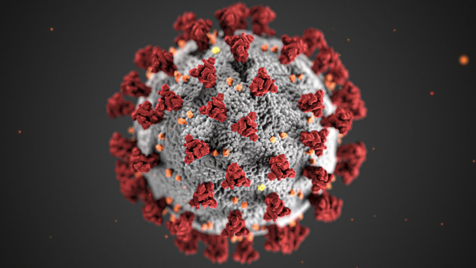 covid 19 coronavirus covid cell pandemic corona virus 1608796 pxhere.com  scaled