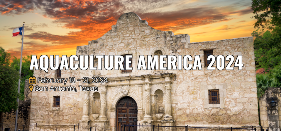 San Antonio 2023 travel guide