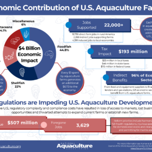 economics infographic final small