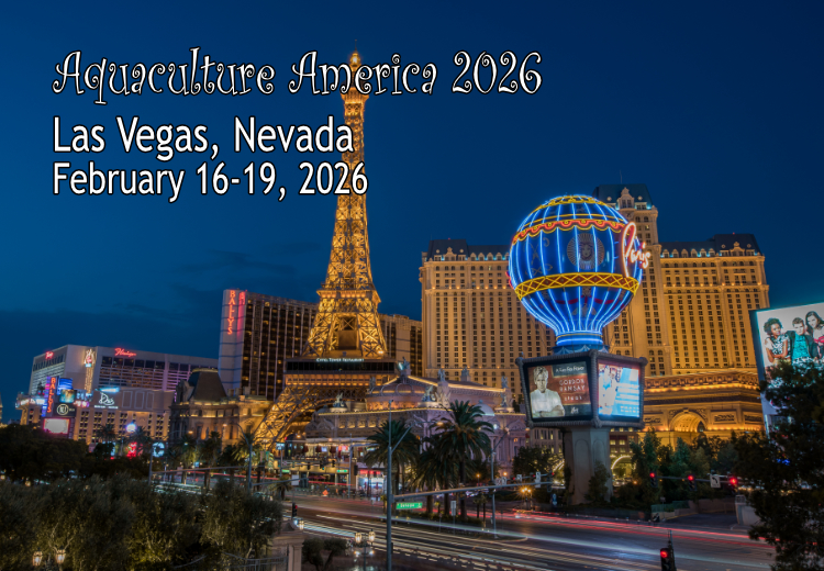 AA2026 Collage 750x520