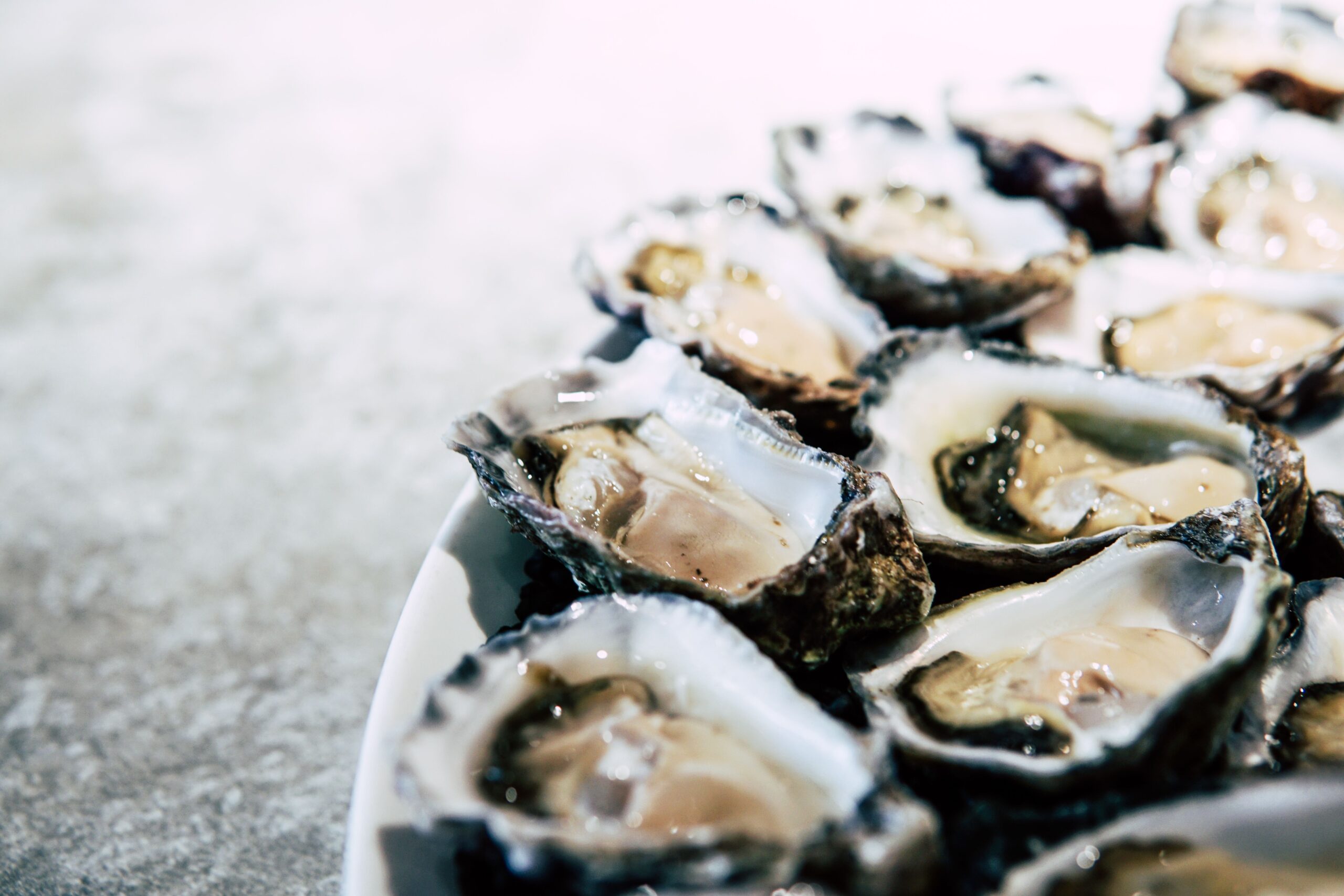 Oysters